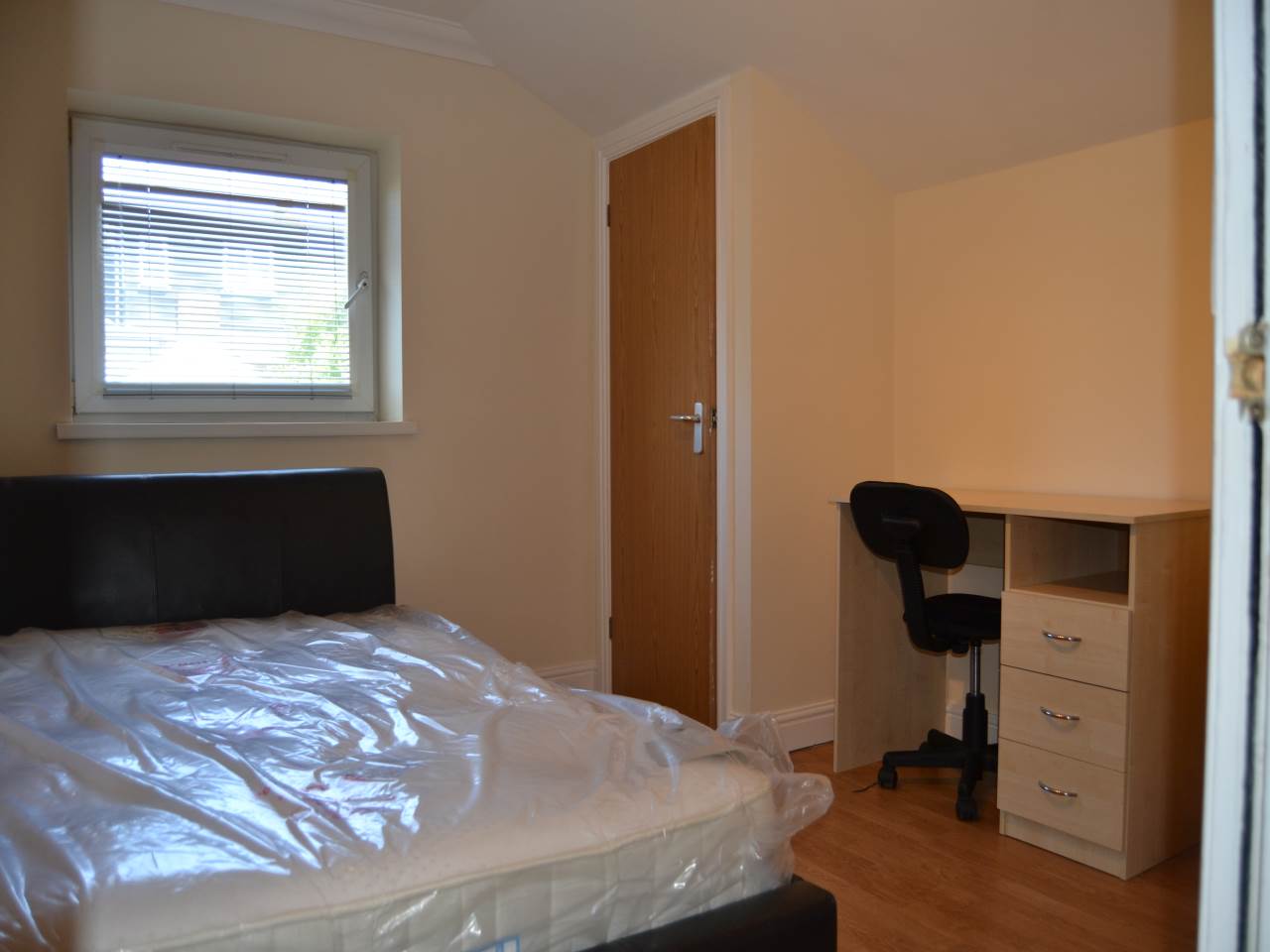 Salisbury Road, Cathays, Cardiff - photo 4